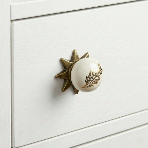 Fleur Painted Star Knob in Antique Brass