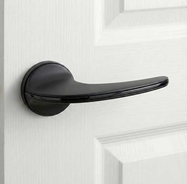 Aura Duo-Finish Mortise Set in Matte Black