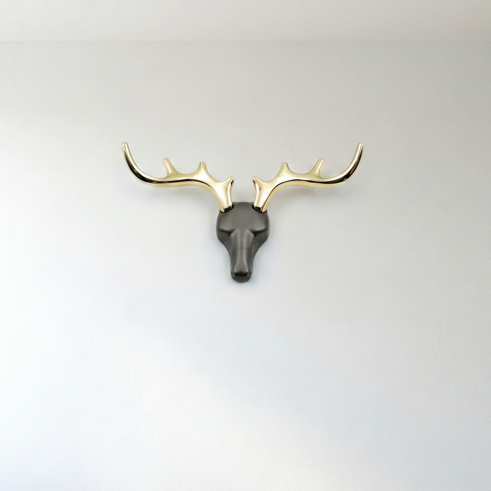 Organic Sculptural Wall Hook