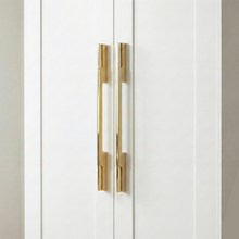 Smoky Dual-Tone Wardrobe Handle – Aluminium wardrobe handles — view 1