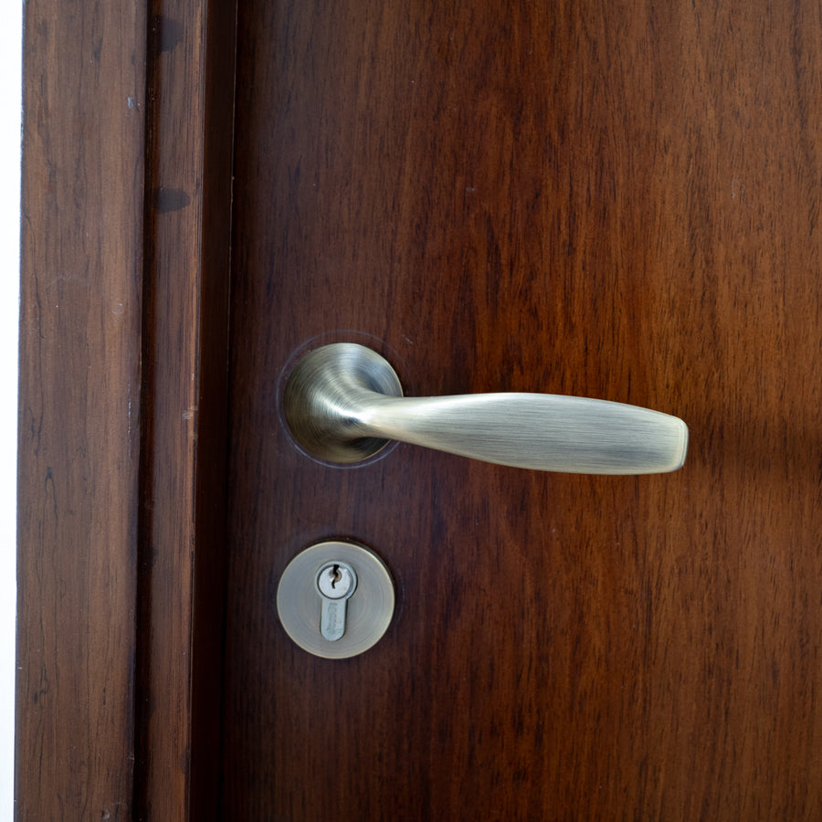Solo Antique Mortise Set – Mortise Handles — view 4