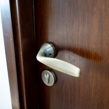 Solo Antique Mortise Set – Mortise Handles — view 5