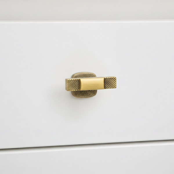 Grip-Bar Wardrobe Handle in Antique Brass