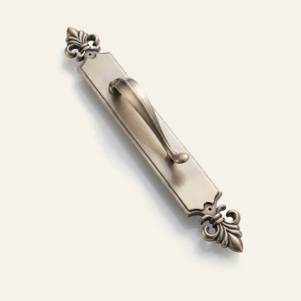 Paris solid brass pull handle on bevelled backplate with fleur-de-lis ends